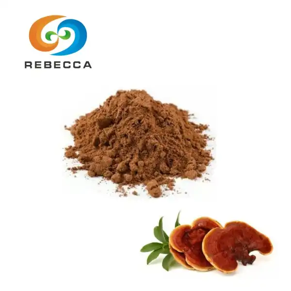 Best Reishi Mushroom Powder